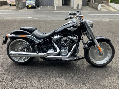 Harley-Davidson  HARLEY FLFB
