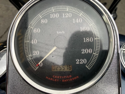 Harley-Davidson  HARLEY FLSTC 100TH