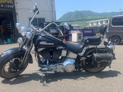 Harley-Davidson HARLEY FLSTS1450