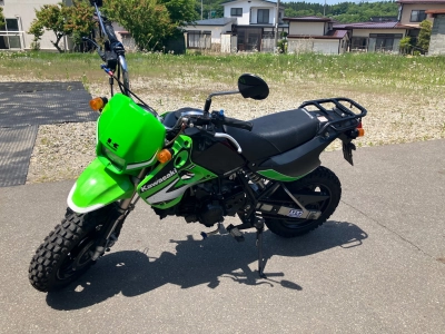 Kawasaki KSR110