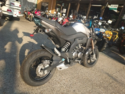 Kawasaki Z125 PRO