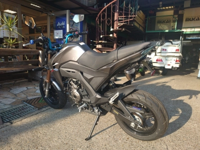 Kawasaki Z125 PRO