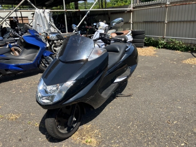 Yamaha MAXAM250