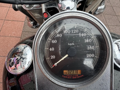 Harley-Davidson HARLEY FLSTC