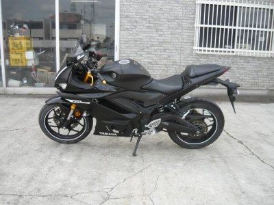 Yamaha YZF-R25