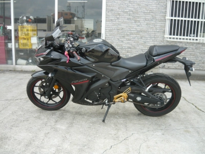 Yamaha YZF-R25