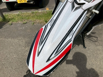 Yamaha WR250R