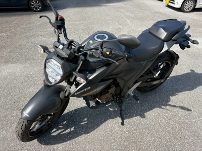 Suzuki JIKUSA-250