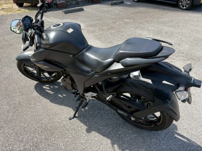 Suzuki JIKUSA-250