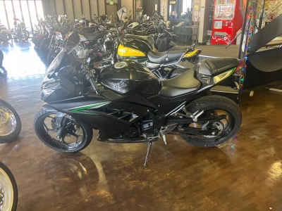 Kawasaki Ninja 250