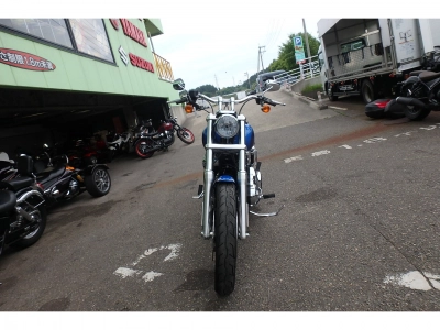 Harley-Davidson HARLEY FXDL1580