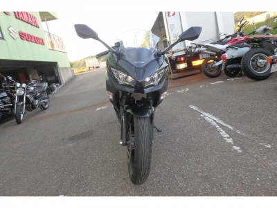 Kawasaki Ninja 250