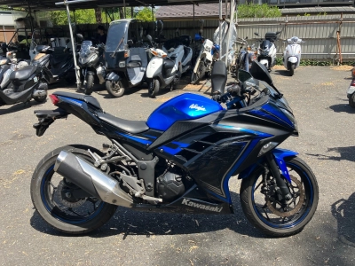 Kawasaki Ninja 250