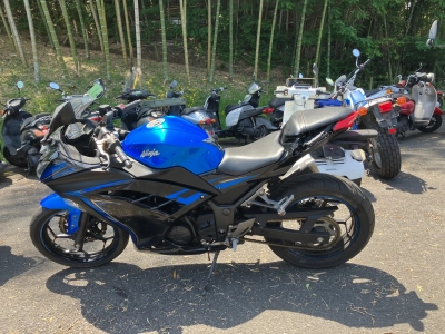 Kawasaki Ninja 250