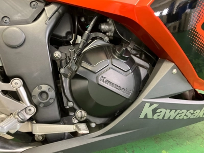 Kawasaki Ninja 250 SE