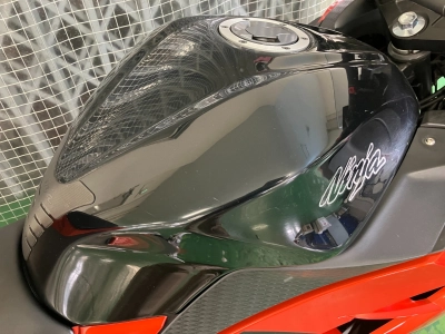 Kawasaki Ninja 250 SE