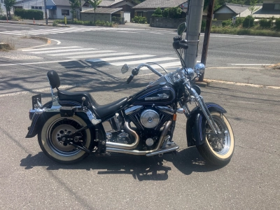 Harley-Davidson HARLEY FLSTS1450