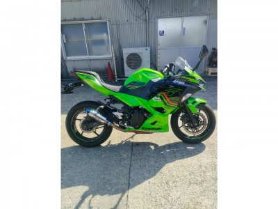 Kawasaki Ninja 250