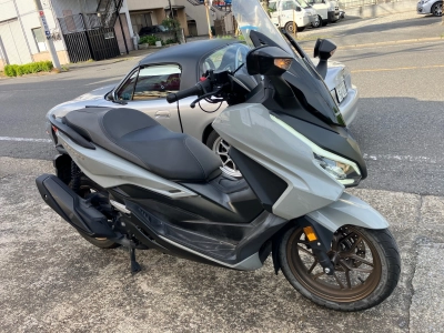 Honda  FORZA 250