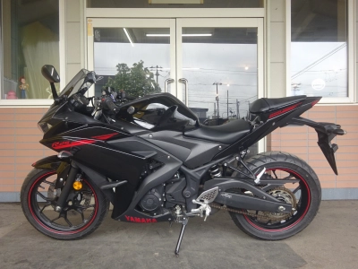 Yamaha YZF-R25