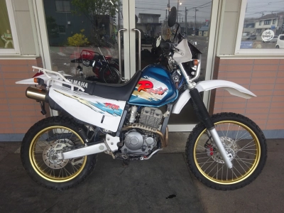 Yamaha TT250RRAID