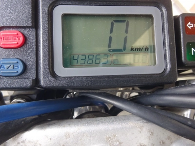 Yamaha TT250RRAID