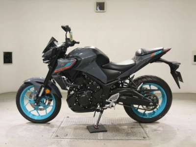 Yamaha MT-25A