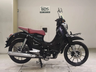 OTHER GPX POPZ125