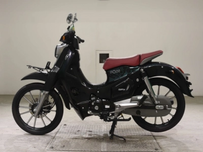 OTHER GPX POPZ125