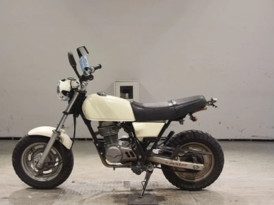 Honda APE100