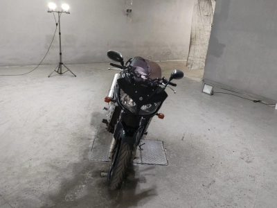 Yamaha FZS1000 FEATHER