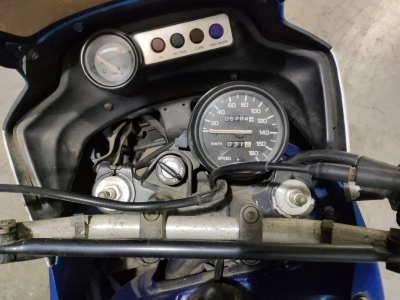 Yamaha TDR250