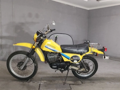 Suzuki TS250