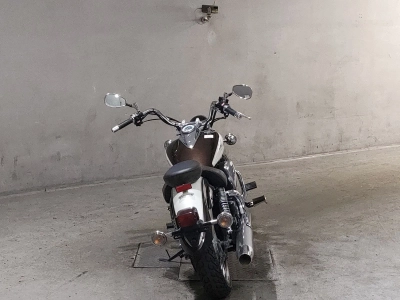 Yamaha DRAGSTAR 250