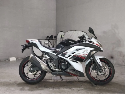 Kawasaki NINJA250