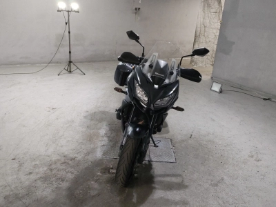 Kawasaki  VERSYS 650