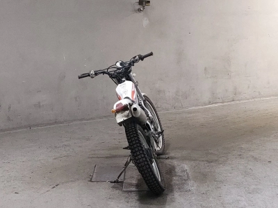 Honda TLR250R