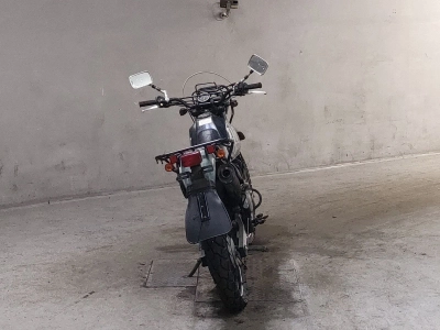 Suzuki DF200