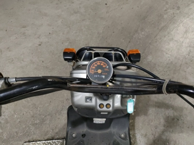 Honda ZUMAR