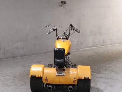 OTHER  TRIKE 250CC