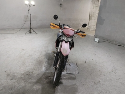 Kawasaki KLX250