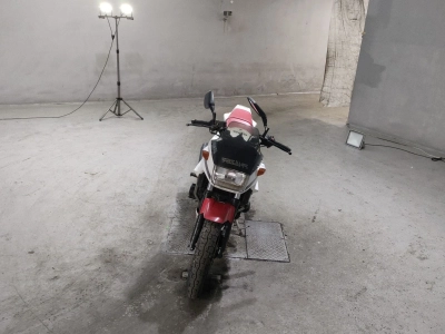 Yamaha FZ250 FEATHER