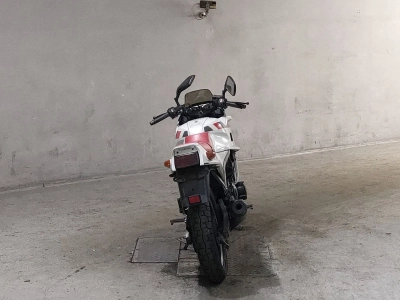 Yamaha FZ250 FEATHER