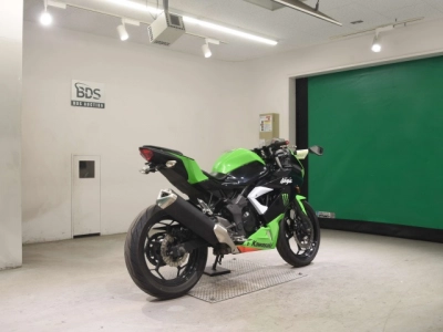 Kawasaki NINJA250SL