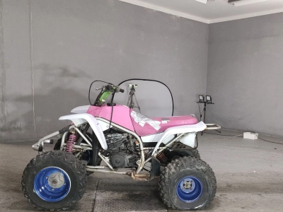 Yamaha YF200S