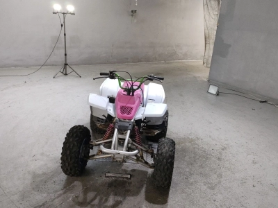 Yamaha YF200S