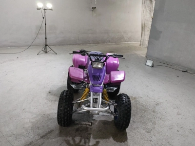Yamaha YF200S