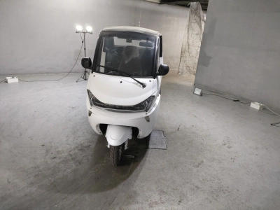 OTHER EV-LAND ZINMA