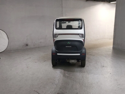 OTHER EV-LAND ZINMA