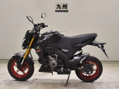Kawasaki Z125PRO
